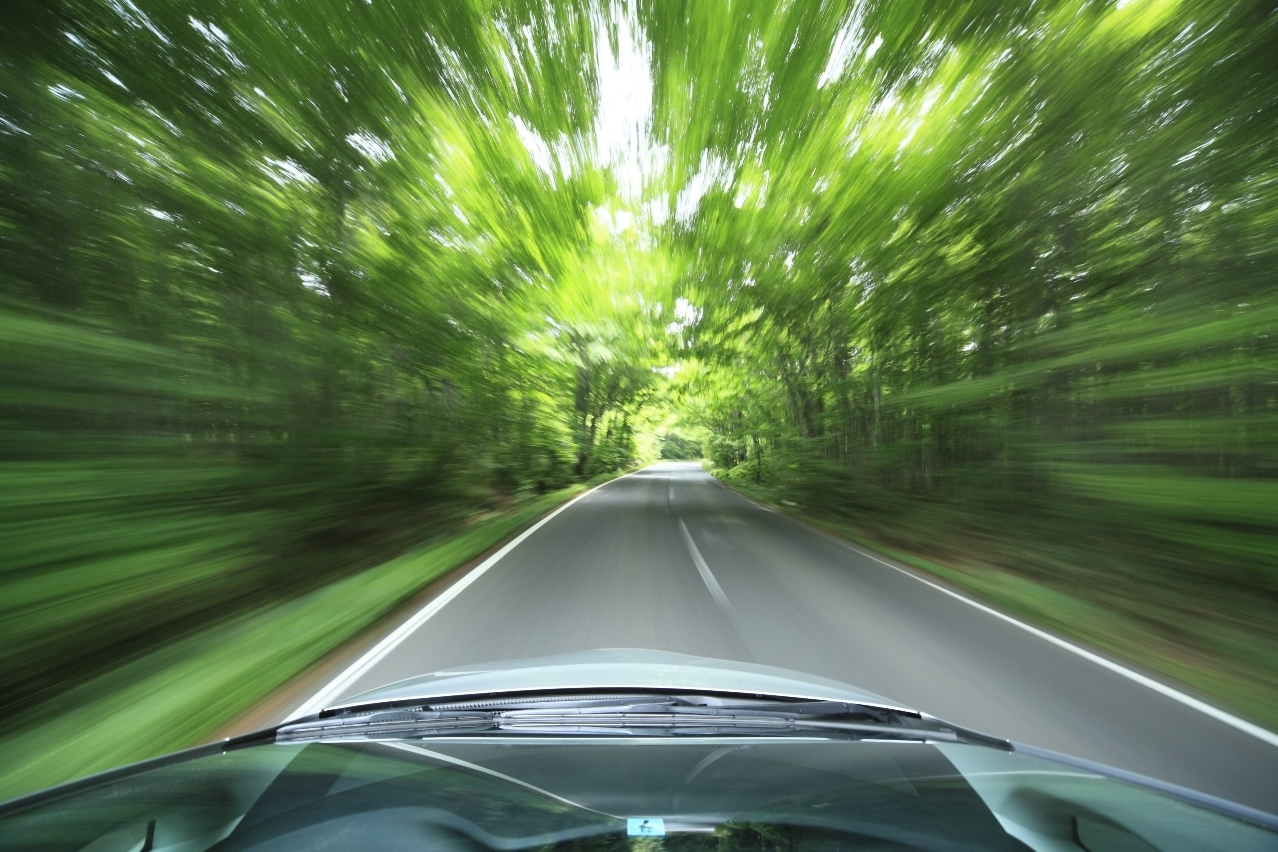Car,Driving,Fast,Into,Forest driving fast